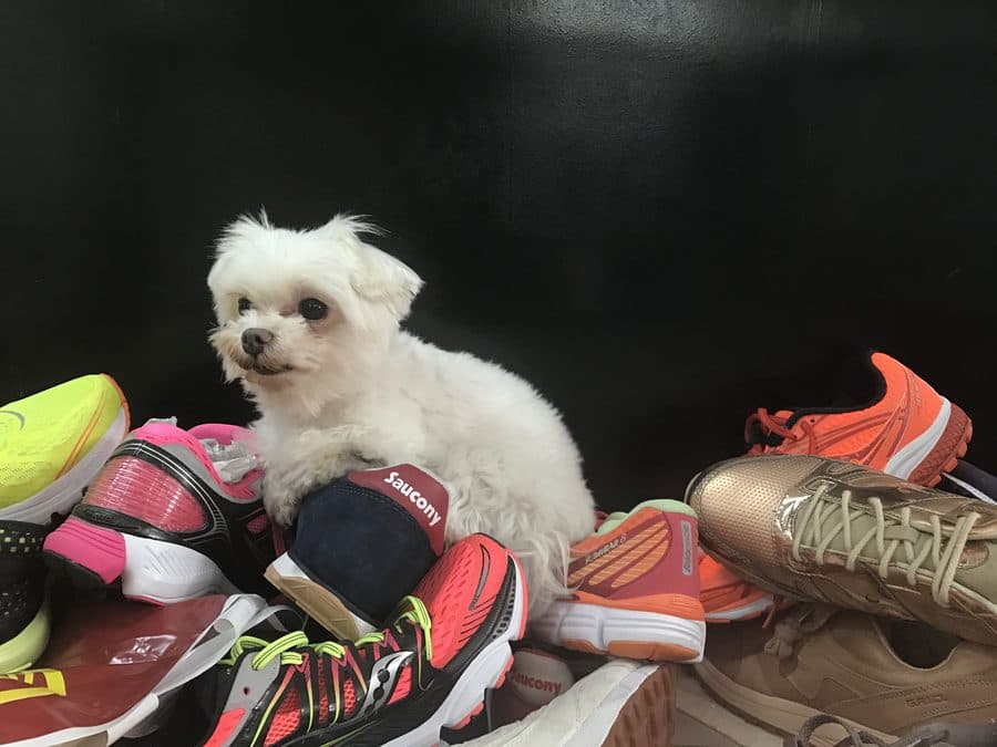One of our runner reviewers, on the job testing shoes